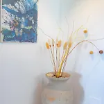 酒店 索拉托尔酒店 柯米拉斯